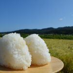 R6年8月24日収穫　新米 ふさおとめ10kg 希少！山の湧き水の米 千葉県産 R6年8月24日収穫 新米 ふさおとめ10kg 希少！山の湧き水の米